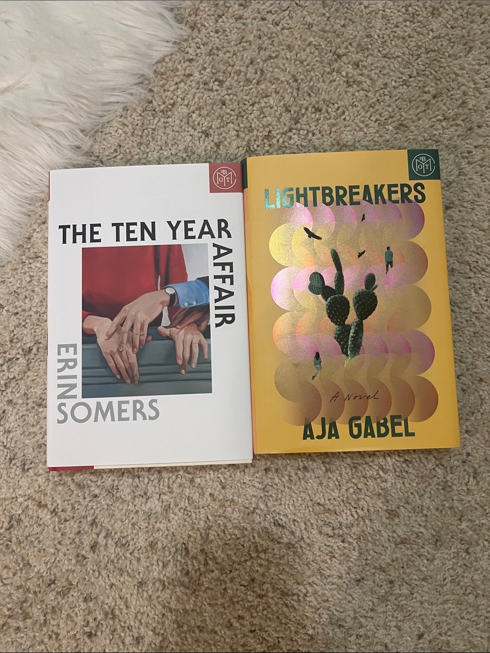 Fiction BOTM book bundle:lightbreakers & the ten year affair